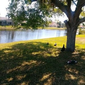 Meet your Posher, Hanadi